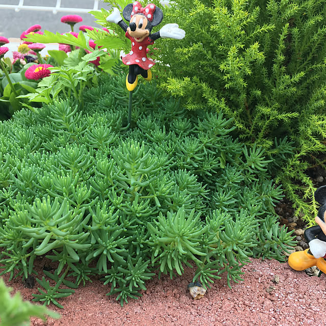 julyさんの実例写真