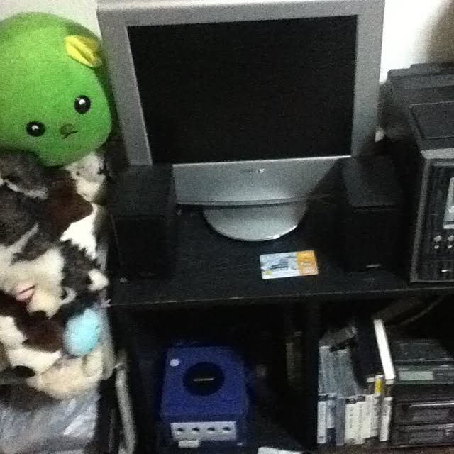 実例写真