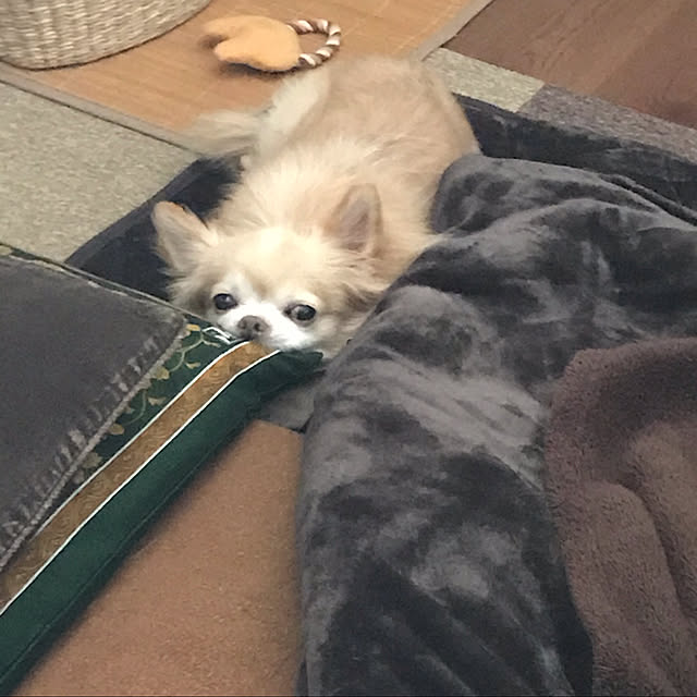 MIUさんの実例写真