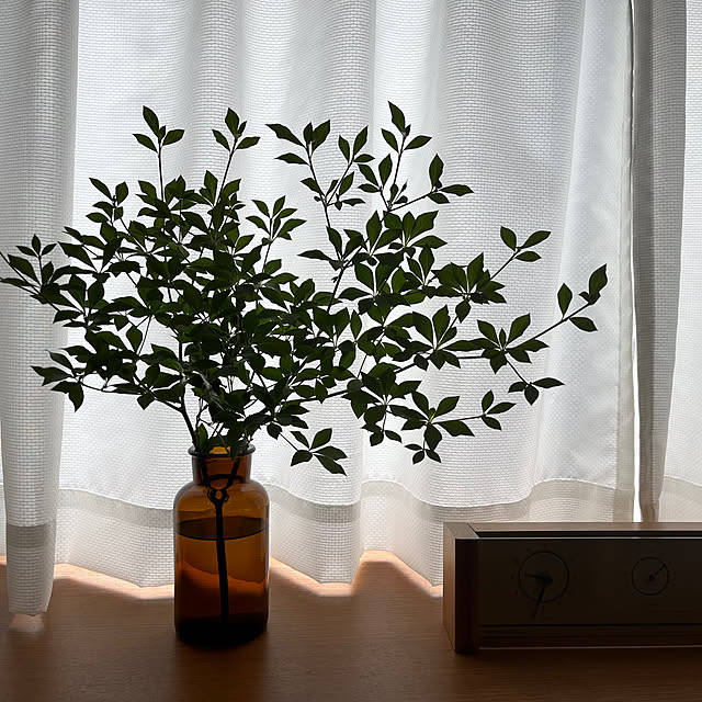 棚/観葉植物のある暮らしのインテリア実例 - 2024-07-03 20:31:22