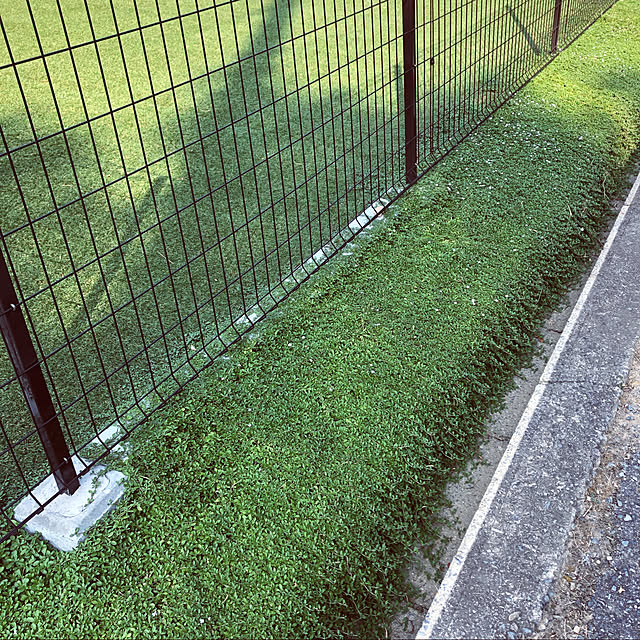 darling0826さんの実例写真