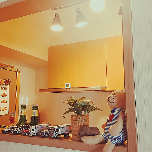 キッチン/観葉植物/IKEA/照明のインテリア実例 - 2019-07-31 11:31:12