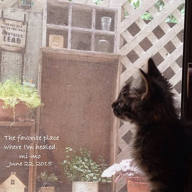 mi_moさんの実例写真