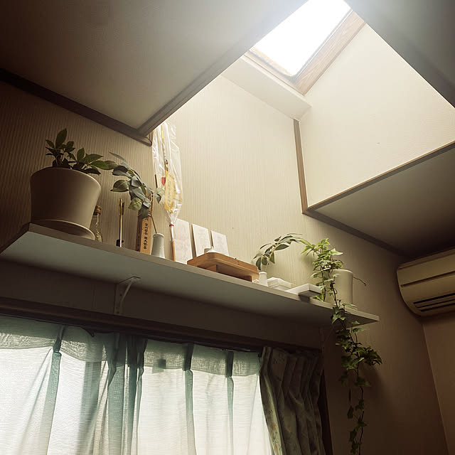 Inoriさんの実例写真