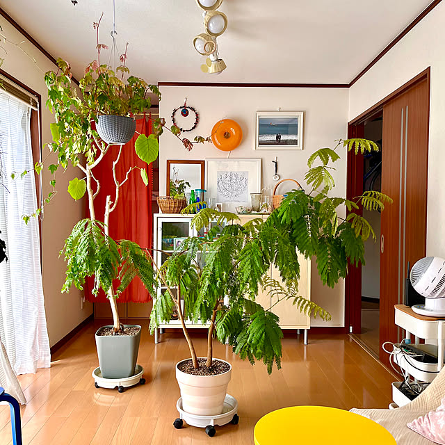 65-24oxoさんの実例写真