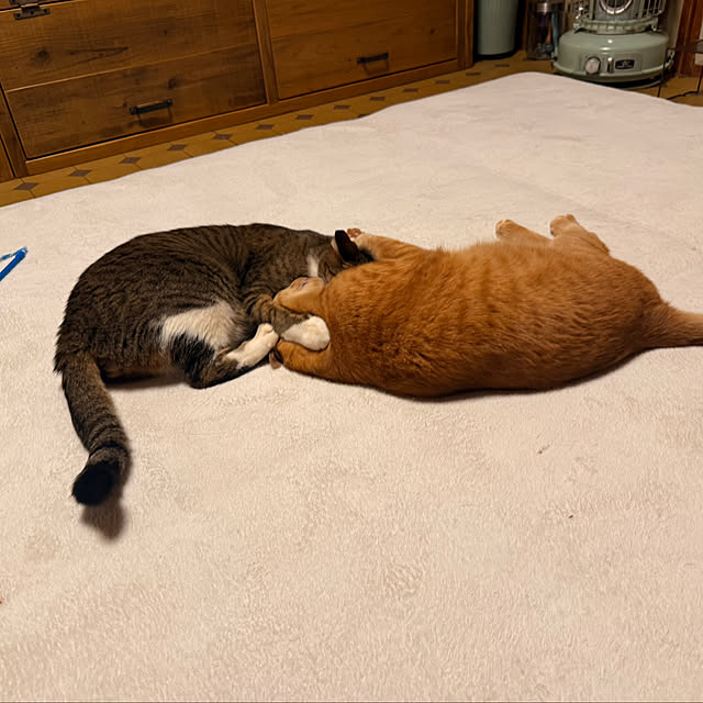 rioさんの実例写真