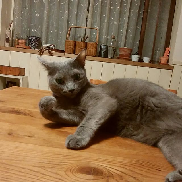 tomo1220さんの実例写真