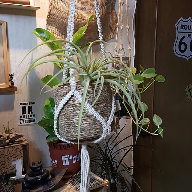 saminaさんの実例写真