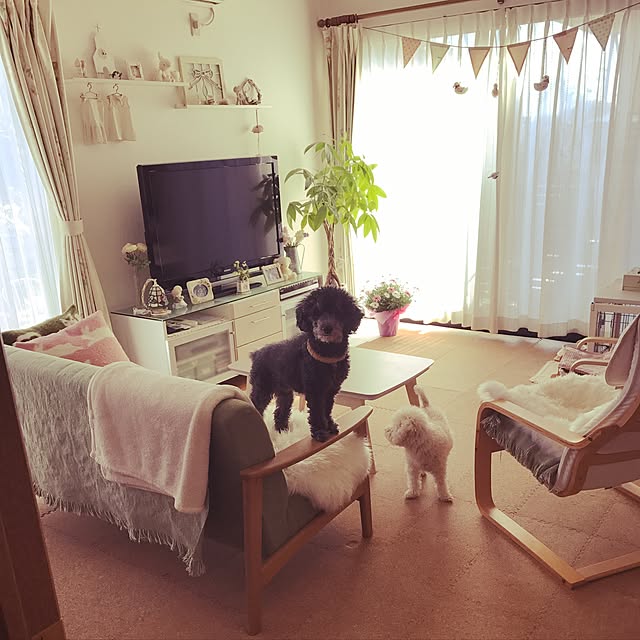 waffleさんの実例写真