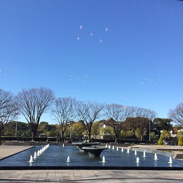 nontanさんの実例写真