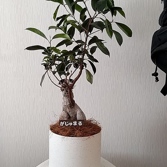 soccerkozouさんの部屋