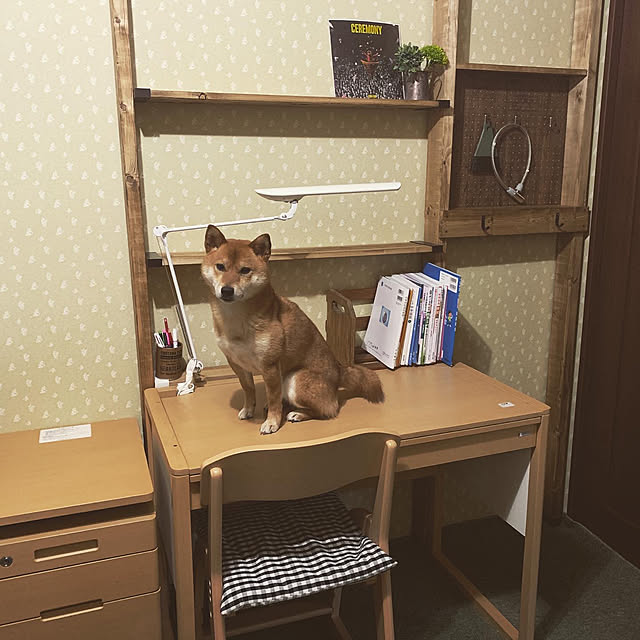 jinchakoさんの実例写真