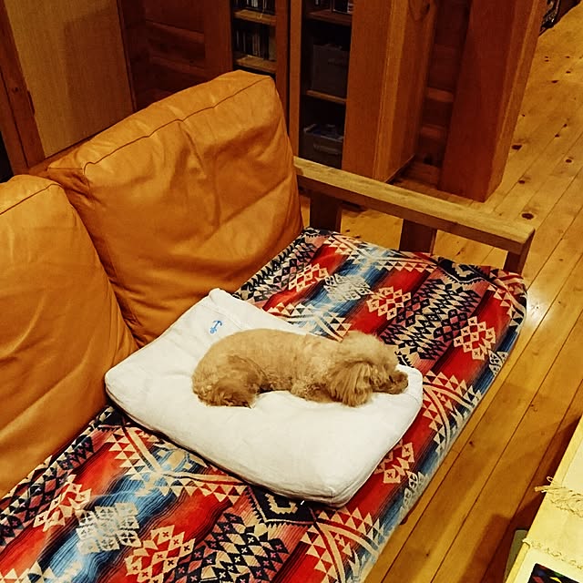 ryosukeさんの実例写真