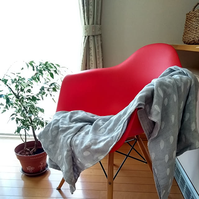 haruさんの実例写真