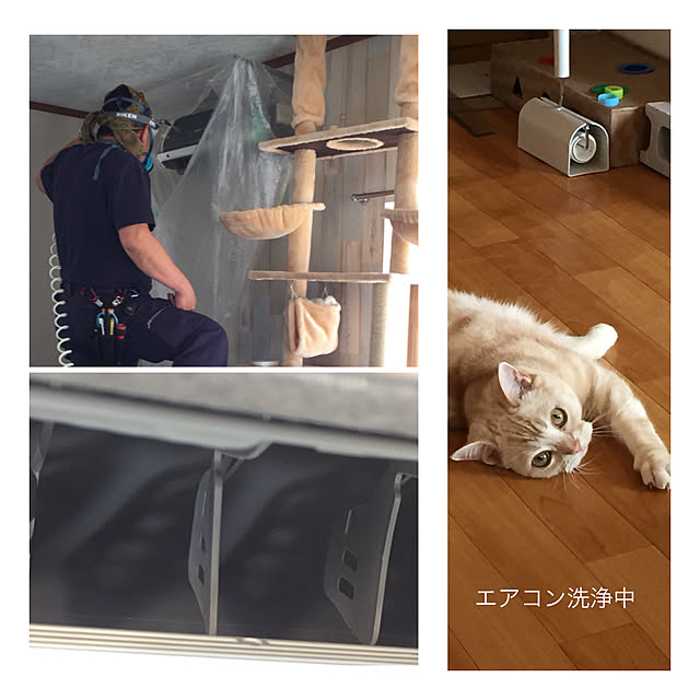 sirasu.nさんの実例写真