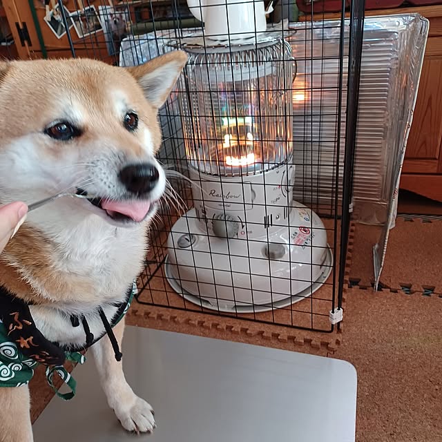 nanaさんの部屋