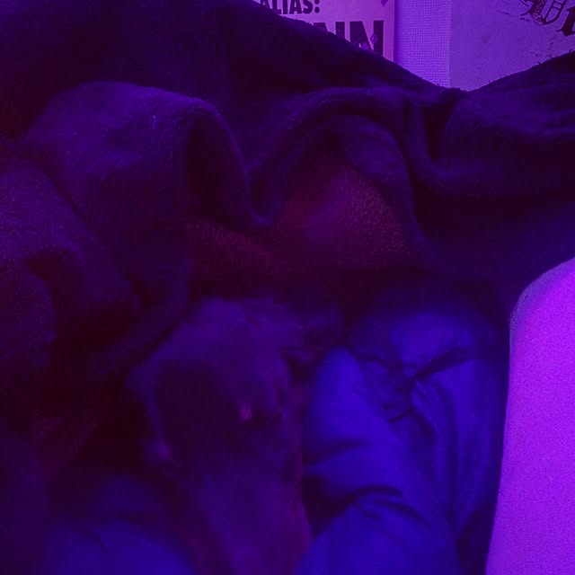 xxxpunk696さんの実例写真