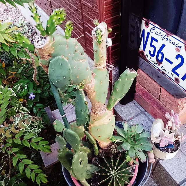 highig16さんの実例写真