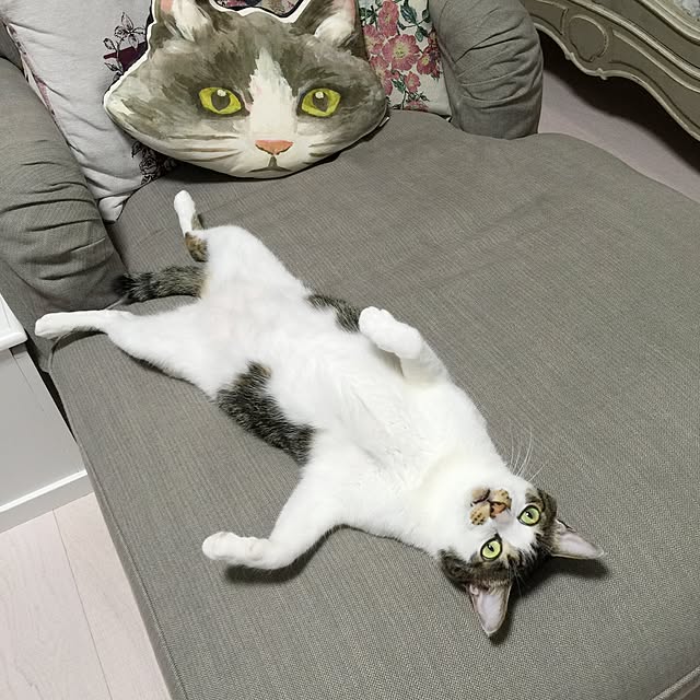 yuchiさんの実例写真