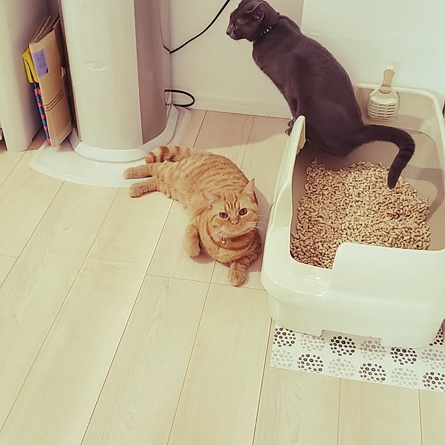 asahinaさんの実例写真