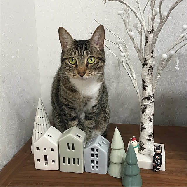 Yuliさんの実例写真