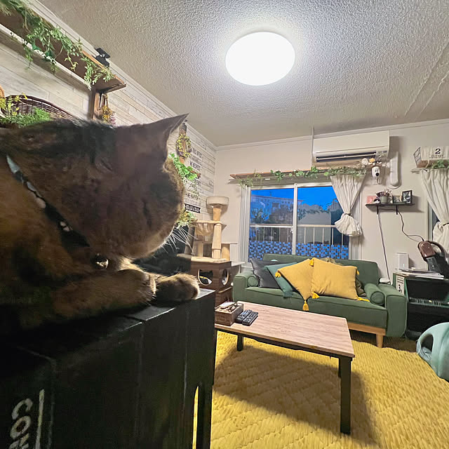 sumoanzuさんの実例写真