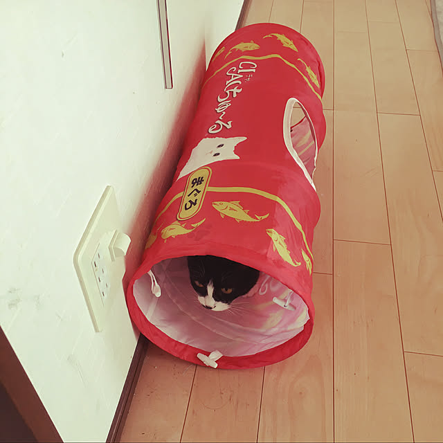 nekoさんの実例写真