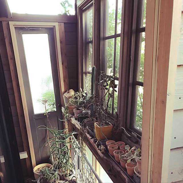 dacchan37さんの実例写真