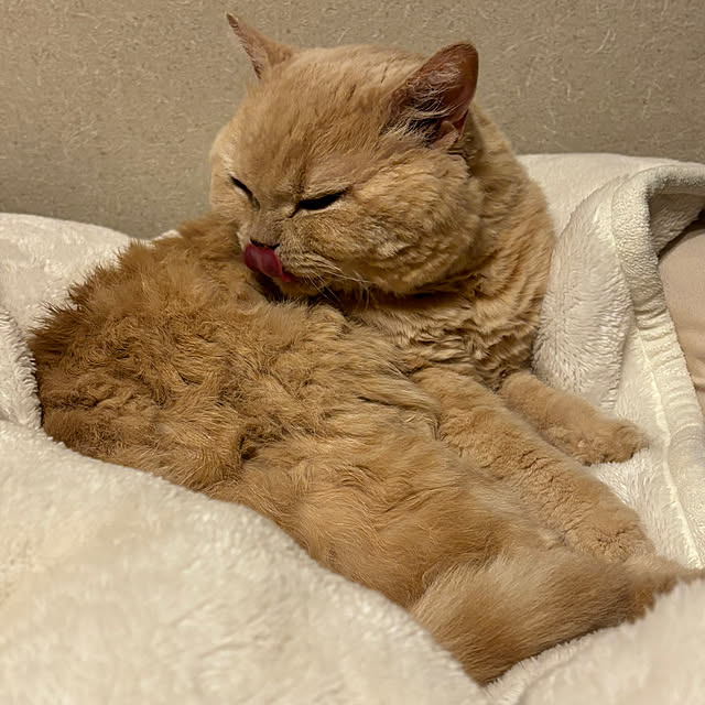 naokoさんの部屋