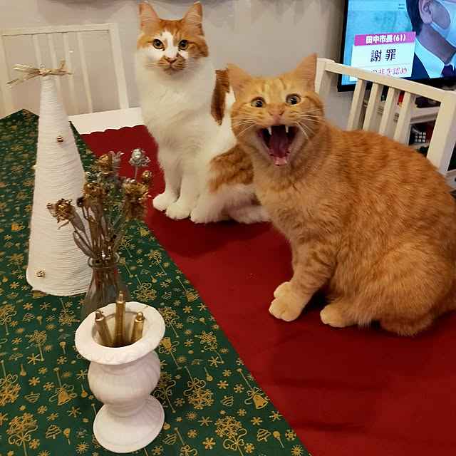 n.y1119さんの実例写真