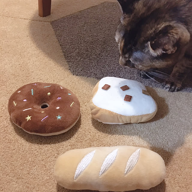 oasisさんの部屋
