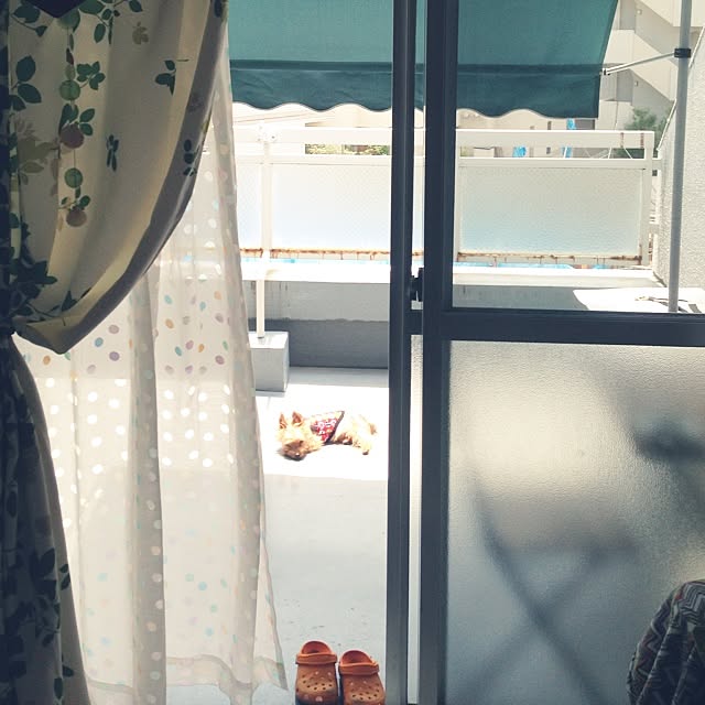 yuchinさんの実例写真