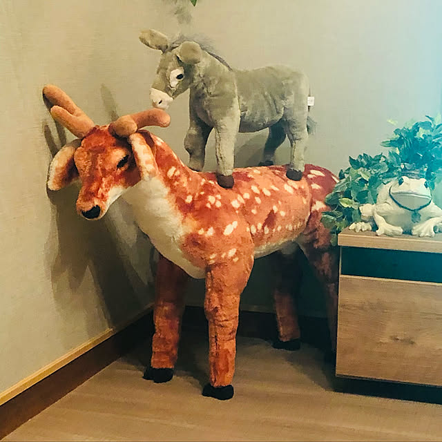 kblueさんの実例写真
