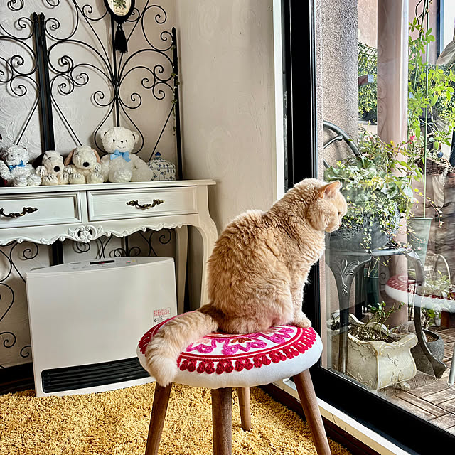 naokoさんの部屋