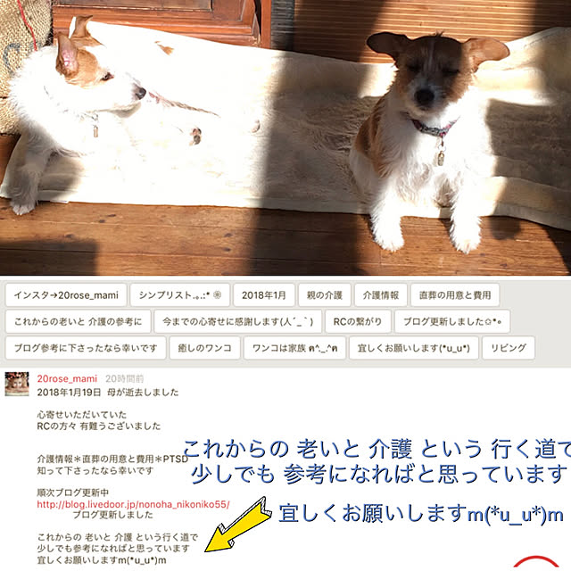 20rose_mamiさんの実例写真