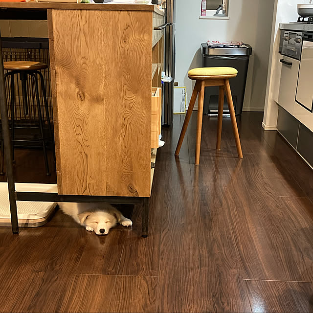 moluさんの実例写真