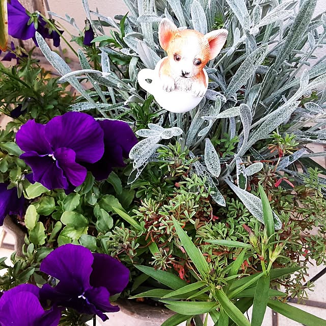 katさんの実例写真