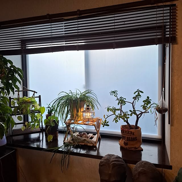 midoriさんの実例写真