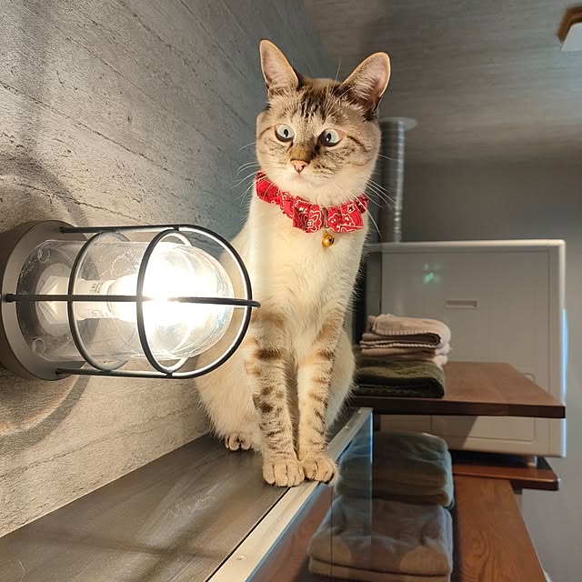 Atelier_tamakiさんの実例写真