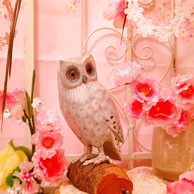 mariaさんの部屋