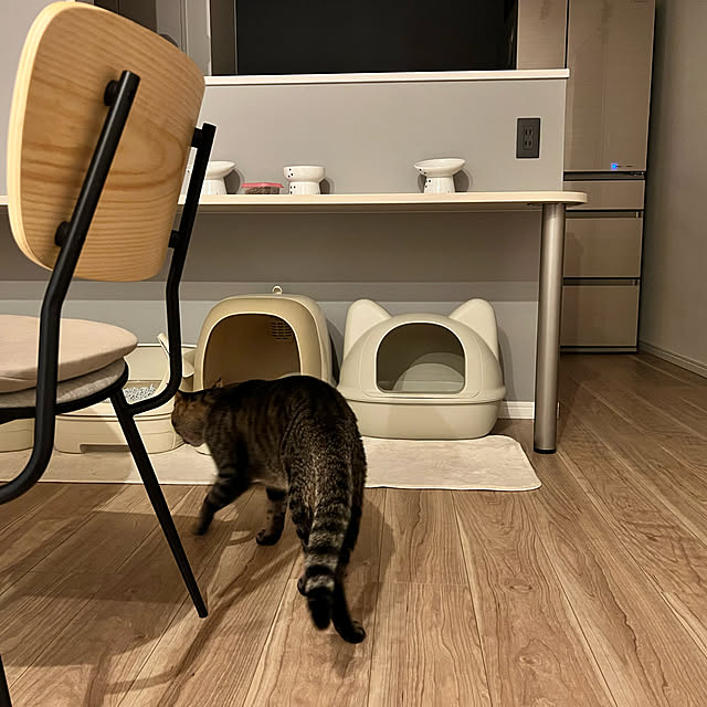 neko_daisukiさんの実例写真