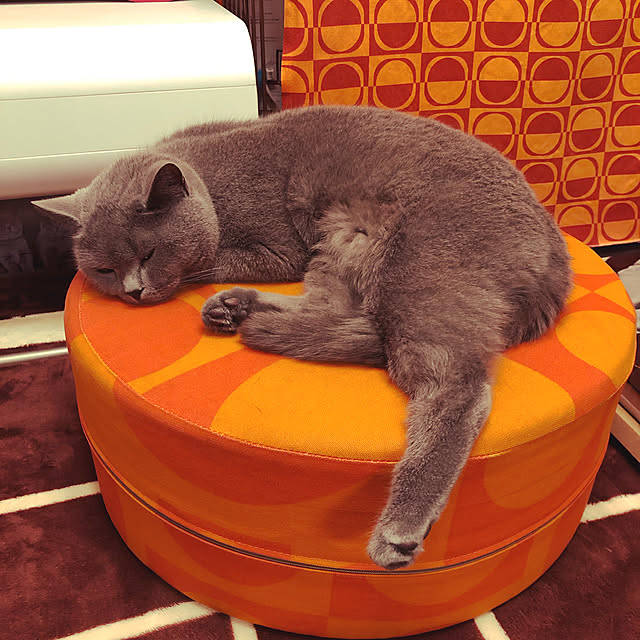 ikettenさんの実例写真
