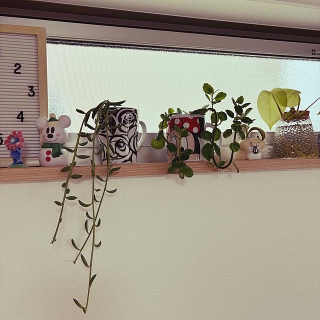 aya.mi-chanさんの実例写真