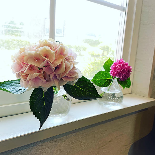 Ayumiさんの部屋