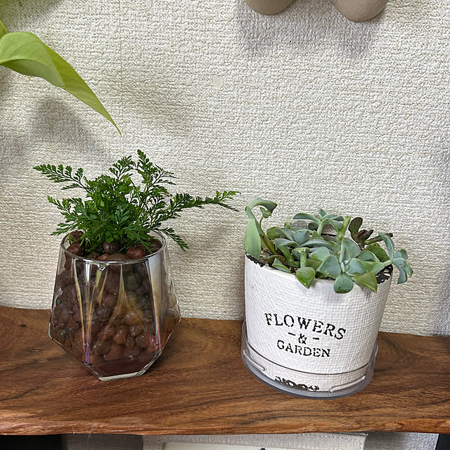 ritsukoさんの部屋