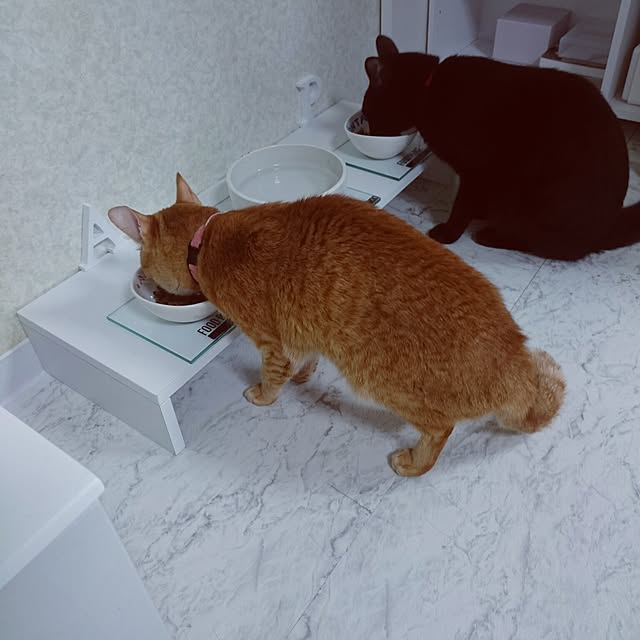 Kさんの実例写真