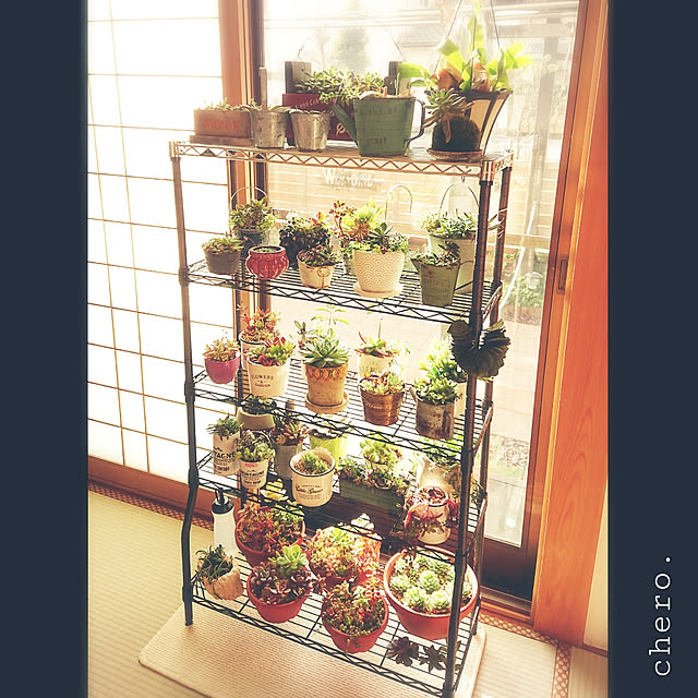 chero.さんの実例写真