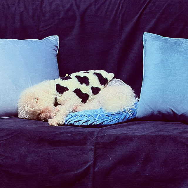 chacoさんの部屋