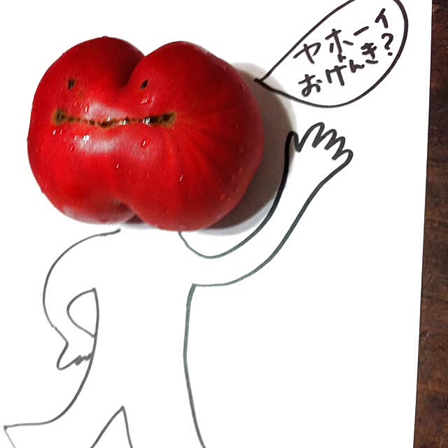 kaoさんの実例写真