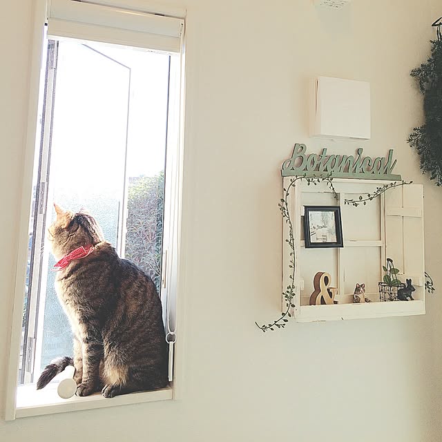 lovecatさんの実例写真